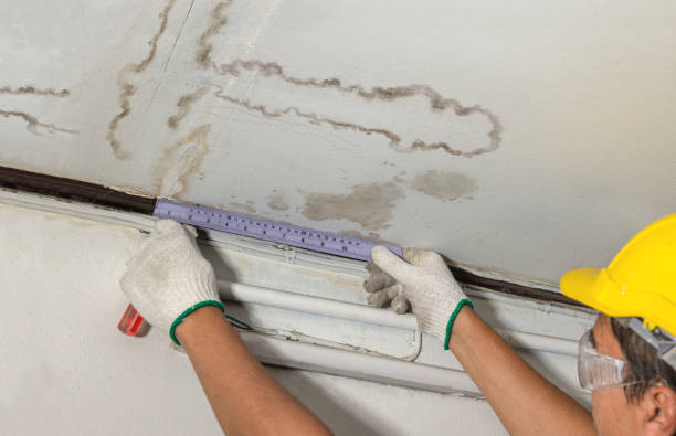 Reliable Water Damage contractor in Belton, SC by Water Damage Irwin